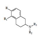 Core structure of 2-aminotetralin